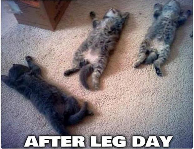 after leg day (5)
