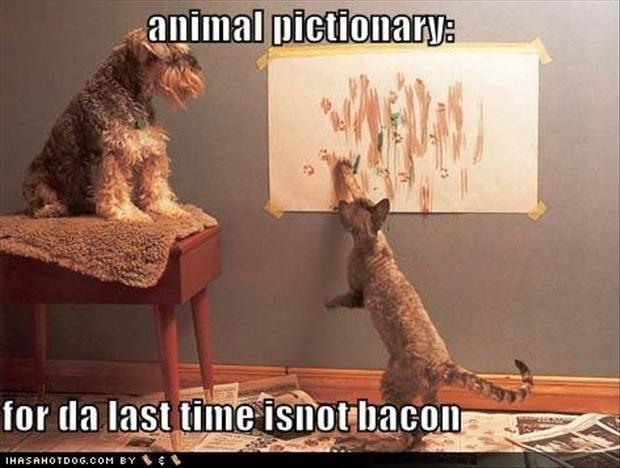 animal pictionary