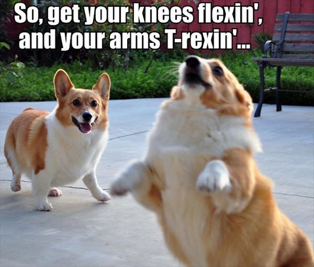 arms t rex