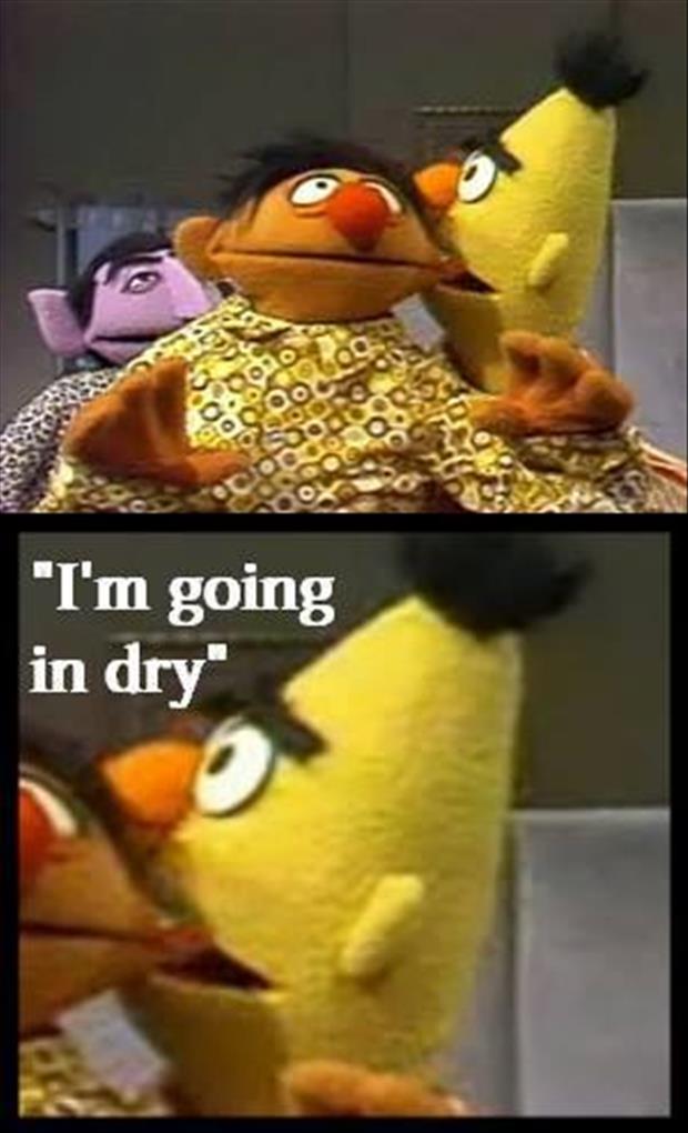 bert and ernie are gay