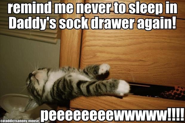 daddies sock drawer