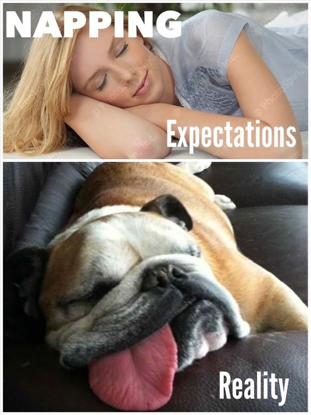 expecations vs reality (8)