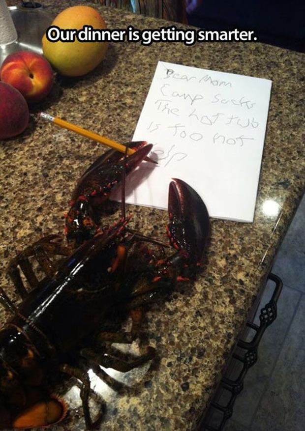 funny-lobster.jpg