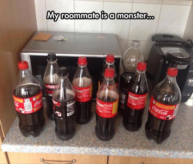 funny roommates