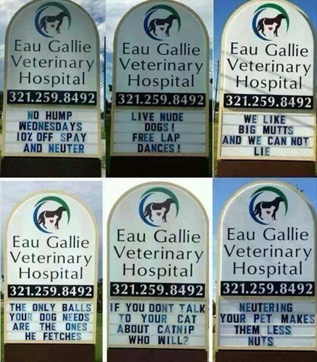funny vet signs