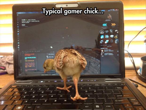 gamer chicks