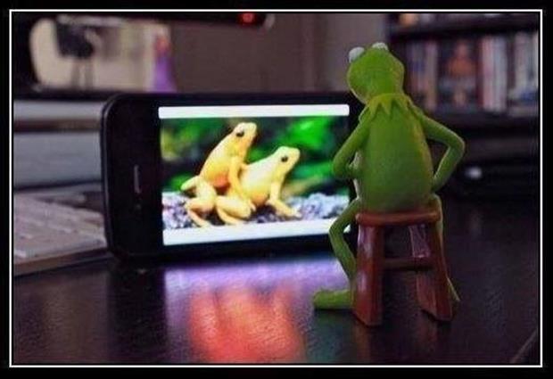 kermit the frog watching toads have sex
