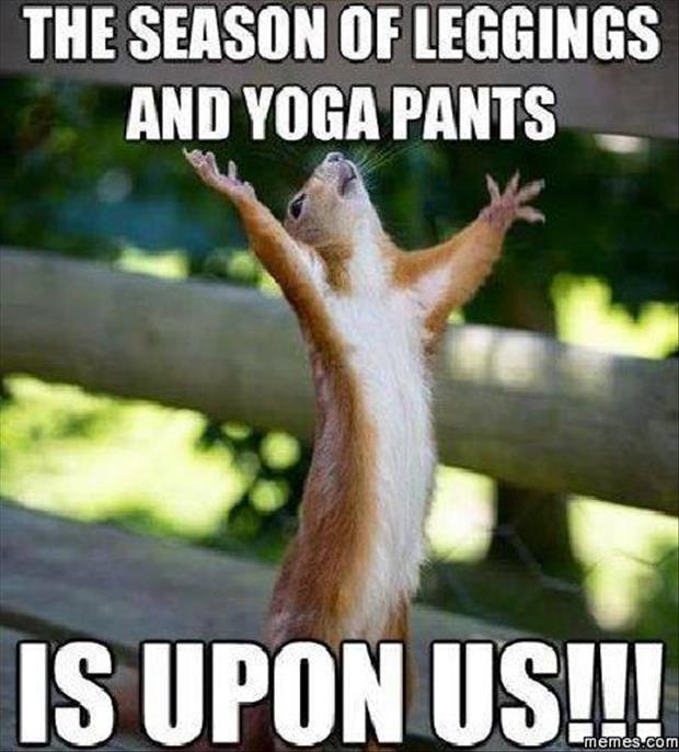 leggings and yoga pants