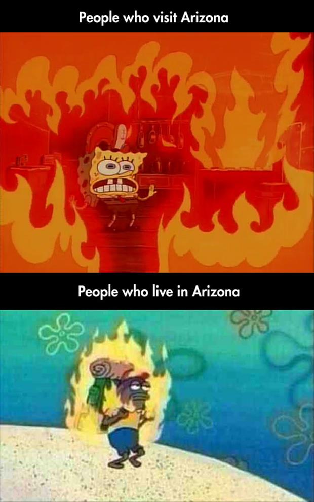 people from arizona