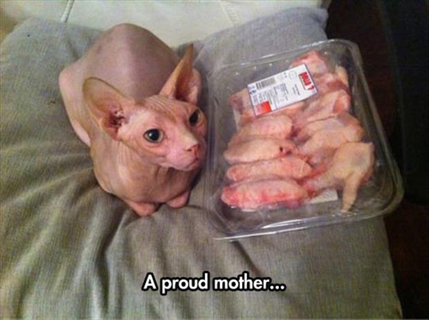 proud mother