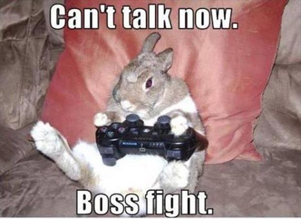 rabbit can't talk