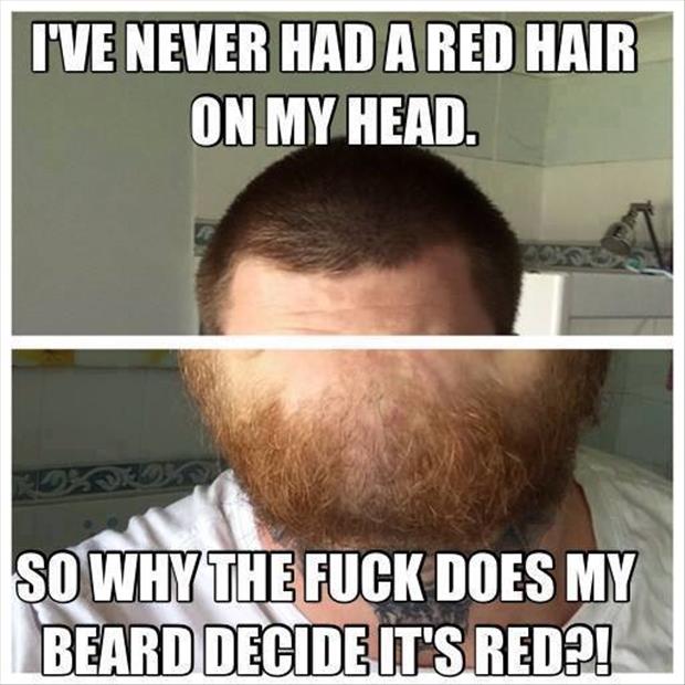 red hair in my beard