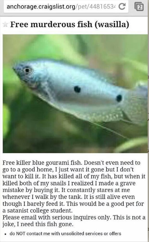 satan's fish