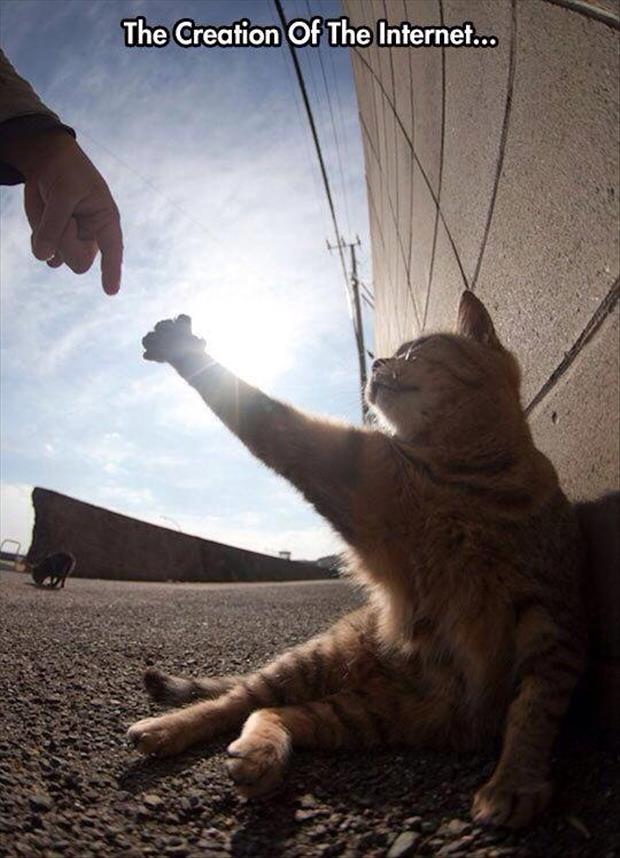 the creation of the internet