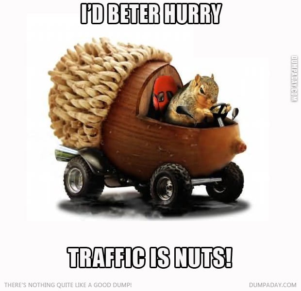 traffic is nuts