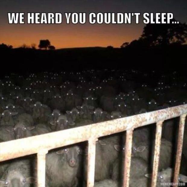 we heard you couldn't sleep