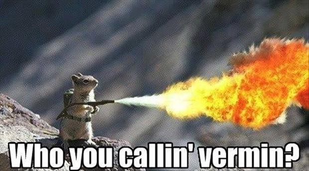 who you calling a vermin