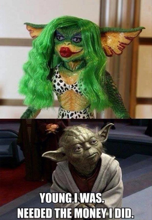 yoda needed money