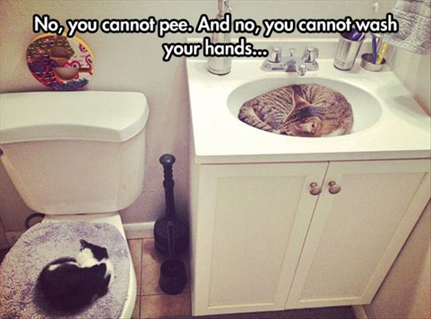 you can not pee