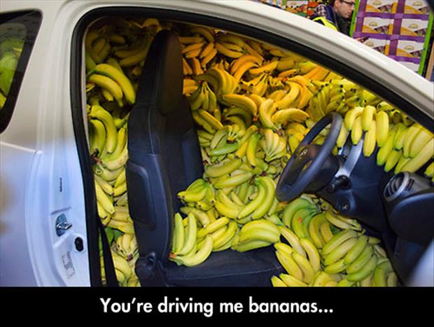 you're driving me bananas