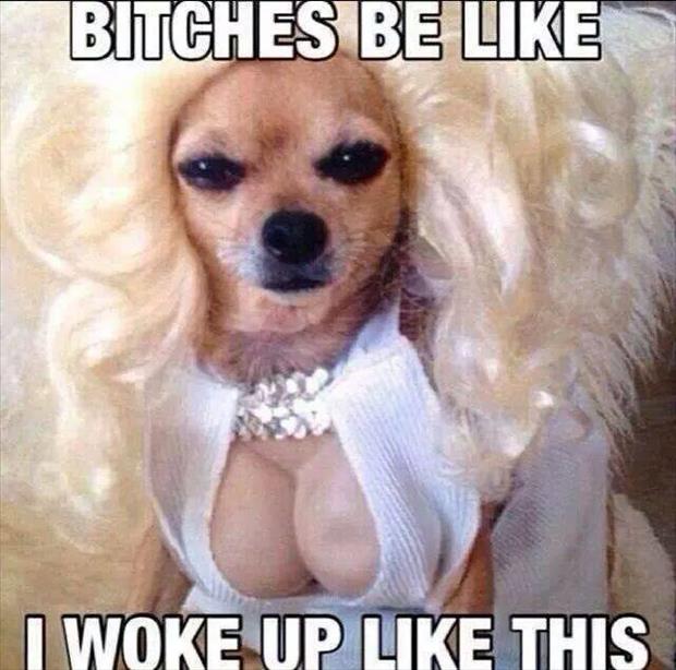 I woke up like this