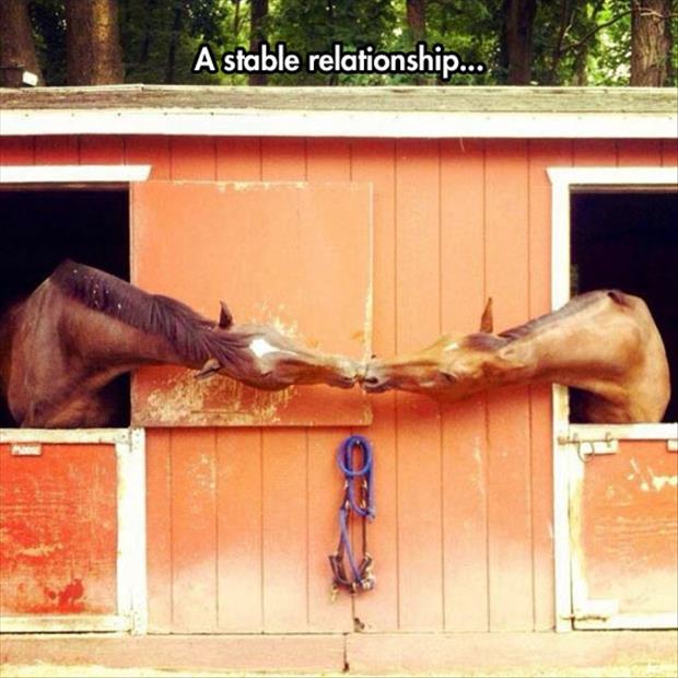 a stable relationship