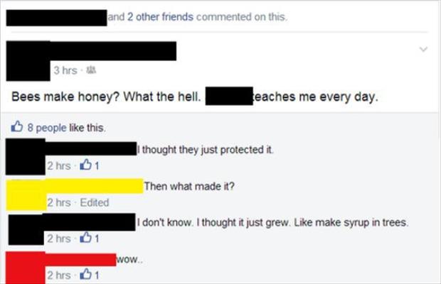 facebook fails status updates (18)