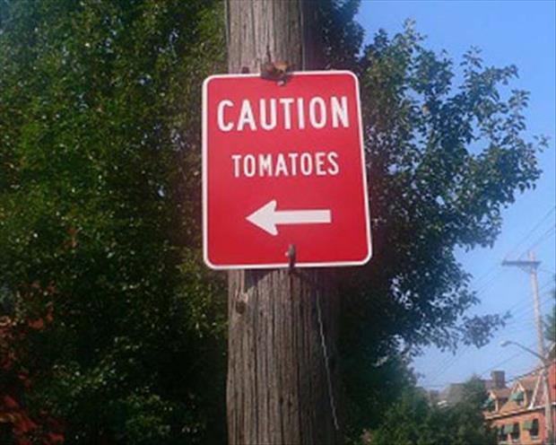 funny signs (21)