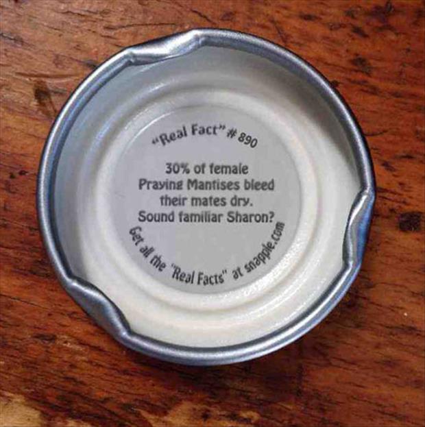 snapple facts