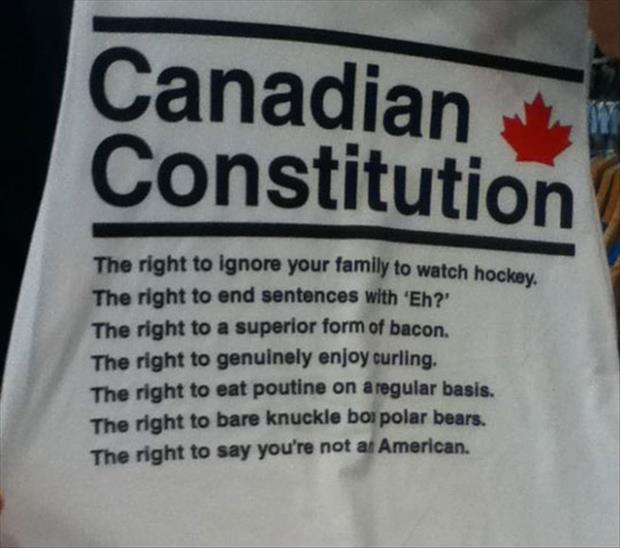 the canadian constitution