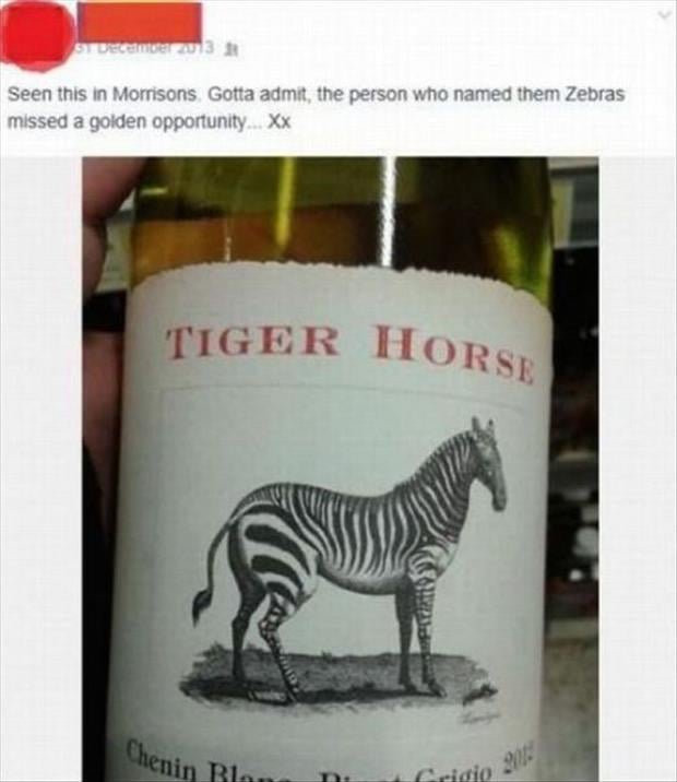 tiger horse