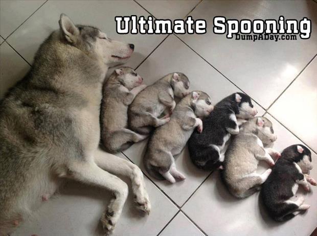 ultimate spooning