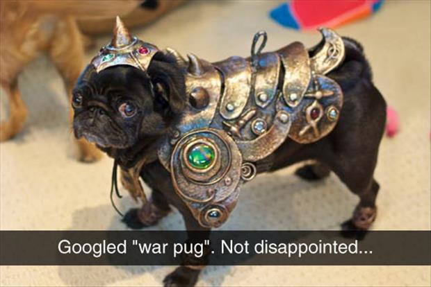 war pug