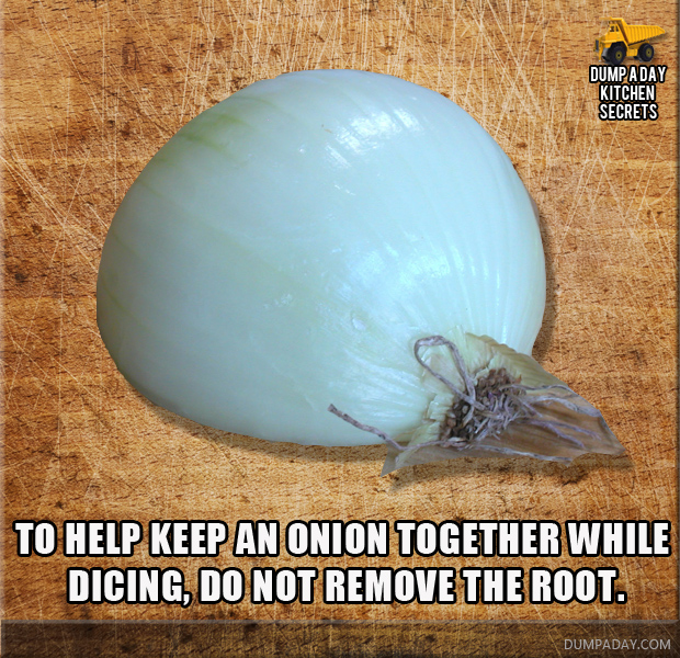 Onion Dicing tip Dump Kitchen Secrets