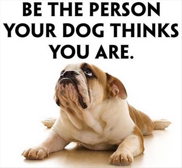 be the person your dog thinks you are