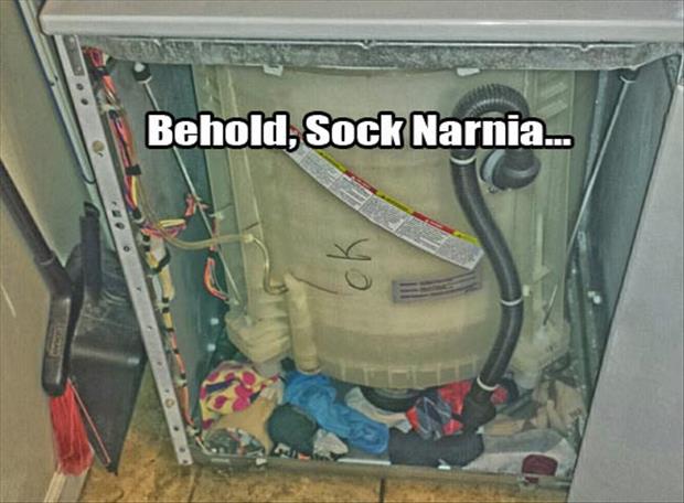 behold Sock Narnia