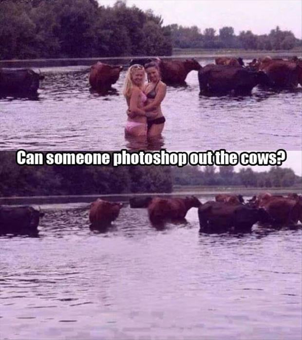 can someone photoshop out the cows