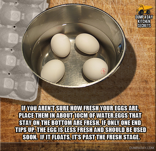 freshness of eggs Dump Kitchen Secrets