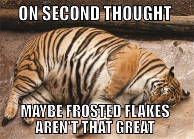 frosted flakes aren't that great