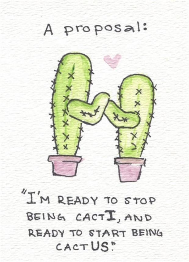 funny cactus