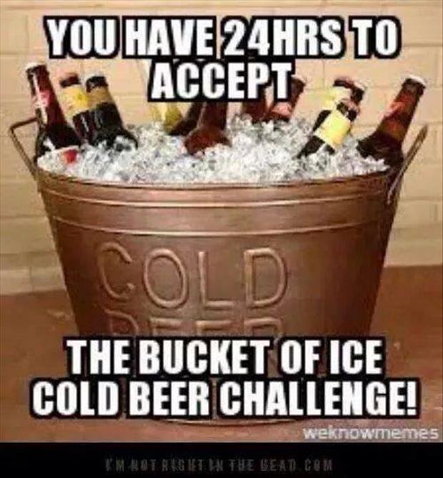 funny ice bucket challenge meme (17)