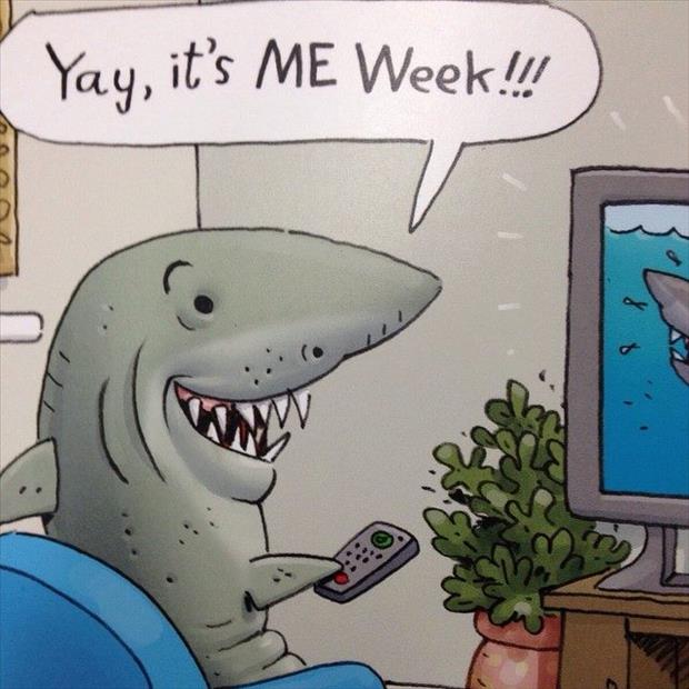 funny shark week