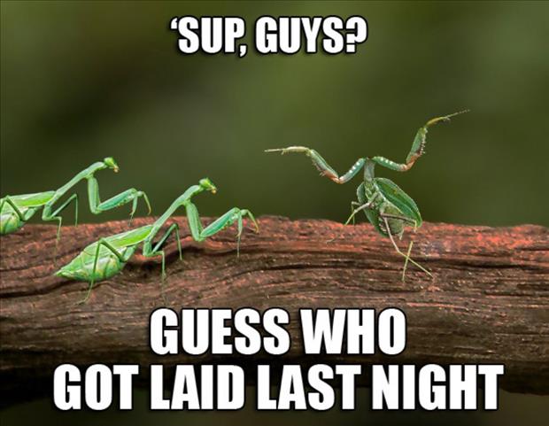 http://www.dumpaday.com/wp-content/uploads/2014/08/guess-who-got-laid-last-night.jpg