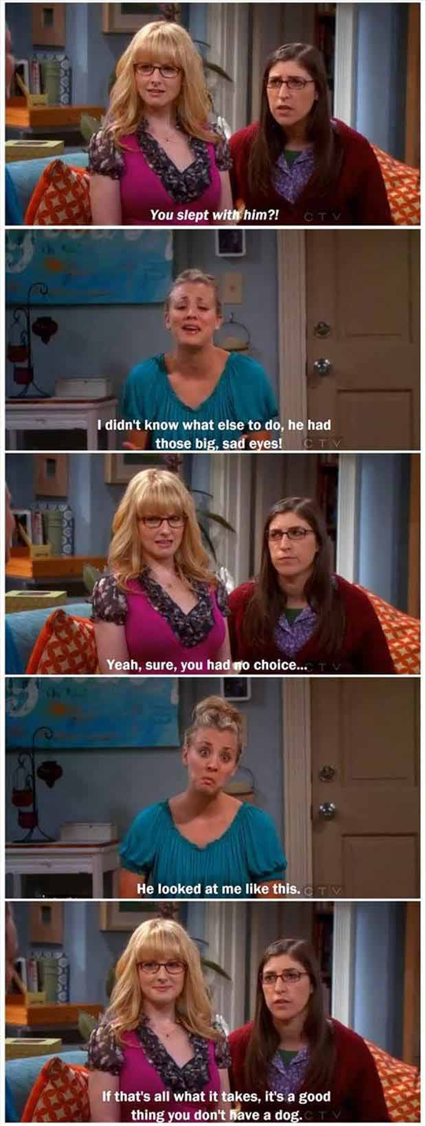 its a good thing you don't own a dog big bang theory funny quotes