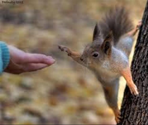 it's friday high five everything (7)