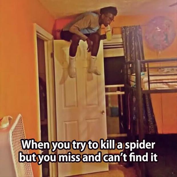 killing a spider