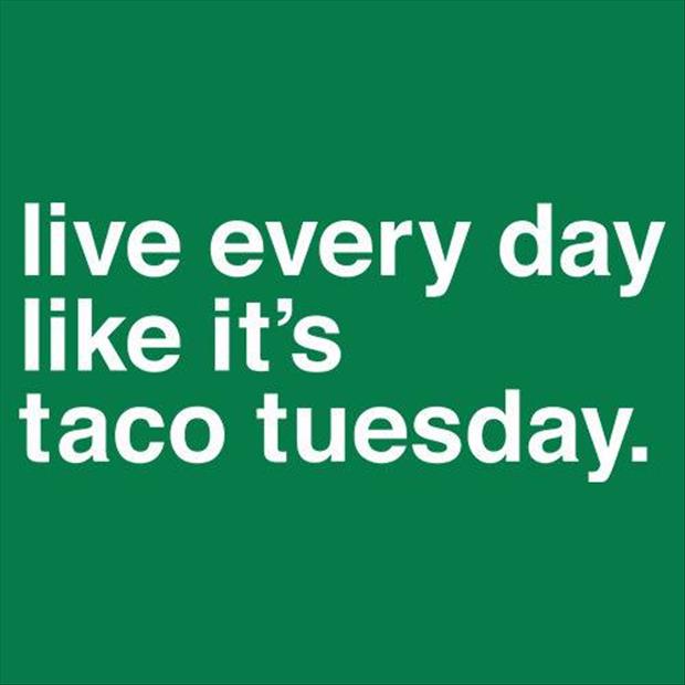 live every day like it's taco tuesday