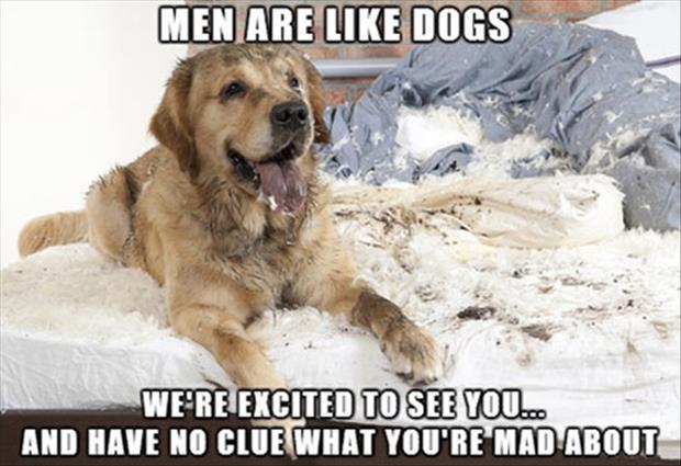 men are like dogs (3)