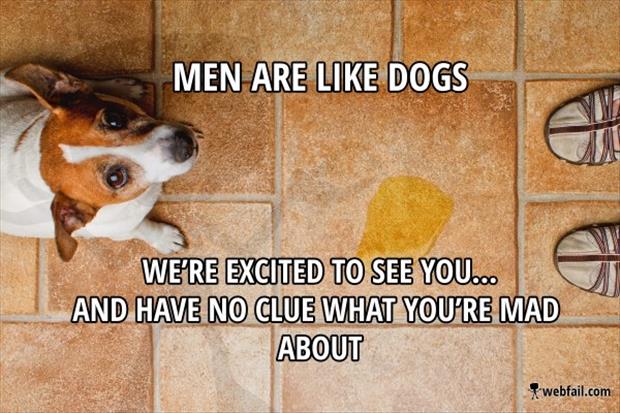 men are like dogs (7)