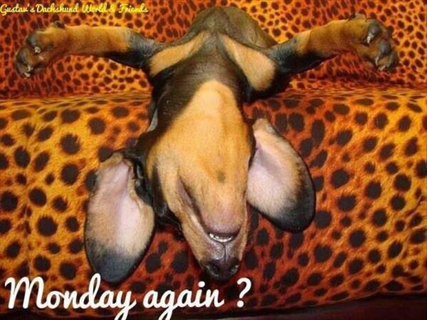 monday again